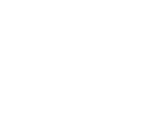 Logo firmy Ozzi Design