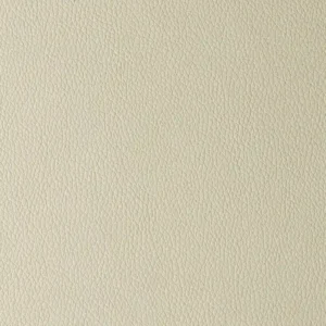 Arizona beige butterfly