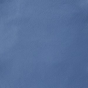 BLUE MADRAS 8728