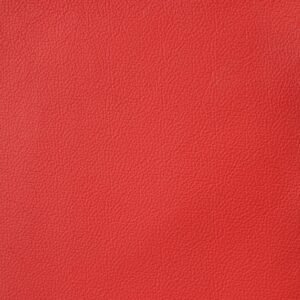 ROSSO MADRAS 9756